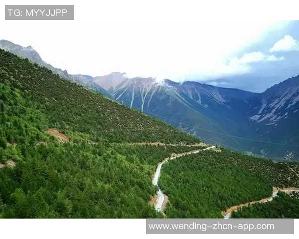 问鼎娱乐线路-娱乐璀璨新时代，问鼎娱乐线路之深度体验之旅-问鼎娱乐线路
